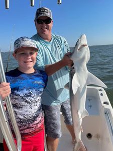 A single Atlantic Sharpnose Shark, a 25-inch fish, caught while fishing in SC