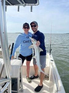 Bonnethead shark fishing in Mount Pleasant
