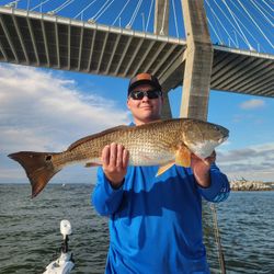 Redfish caught while fishing in Mount Pleasant