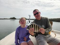 Sheepshead fish caught in Mount Pleasant