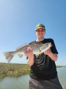 Spotted Weakfish, 25 inches, caught while fishing in Mount Pleasant