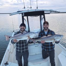 Two redfish, 28 inches long, caught while fishing in SC