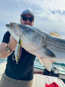 Fish-Species