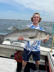 Fish-Species
