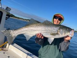 Fish-Species