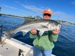 Fish-Species