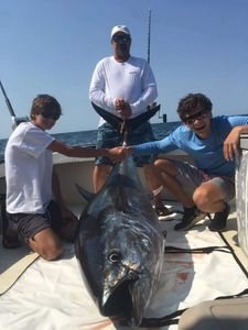 Bluefin Tuna in New Hampshire