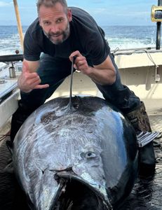 Angler fishing for Atlantic Bonito in NH