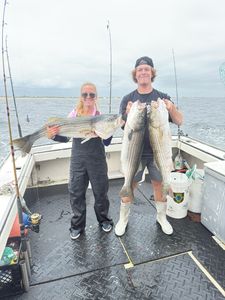Two striped bass caught while fishing in NH