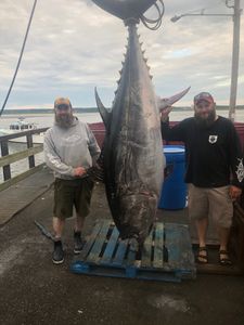 Blackfin tuna, a large fish, caught while fishing in Hampton