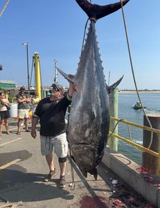 Blackfin Tuna caught during fishing trip in Hampton