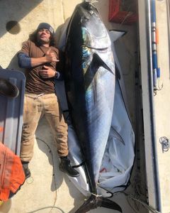 Blackfin Tuna, a large fish caught while fishing in NH