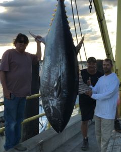 Blackfin tuna fish caught in NH
