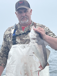 Hooked a blue catfish while braving the cloudy, rainy conditions offshore!