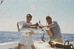 Blue Marlin, 28 inches, caught while fishing in Hampton