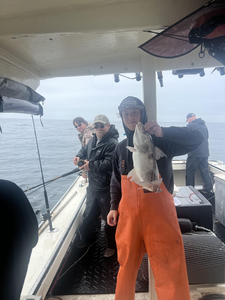 Reeling in the best catch with diverse fishing techniques on a dreary day in the Gulf of Maine