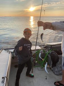 1 Fisherman in New Hampshire catching fish