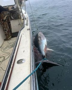 Anglers enjoying a fishing trip in Hampton