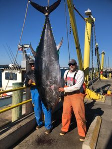 Fishing in Hampton
