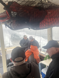 Battling the elements for the big catch in the misty Maine waters.