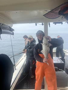 An epic day of deep sea fishing, jiggling, trolling, and tackling the elements in the Gulf of Maine.