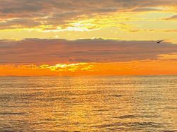 Scenic view of the Hampton coastline