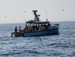 Deep Sea Fishing in Maine with the best!