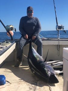 Exploring plum island fishing then we got this!