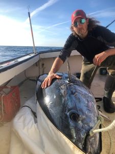 Today's big catch! Massachusetts Tuna fishing	