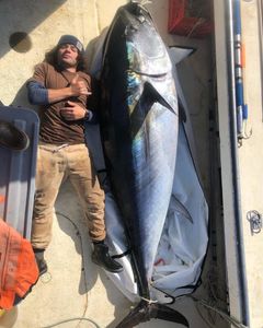 This was massive! Tuna fishing in Maine 2022