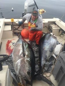 Getting Bluefin Tuna Action in Hampton!