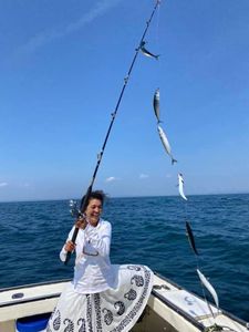 Caught our limits! deep sea fishing Rye, NH