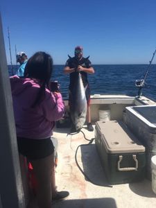 One fisherman with a 48-inch catch in Hampton