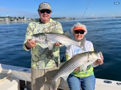 Two striped bass, fishing in Hampton