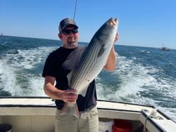 Striped Bass caught while fishing in NH