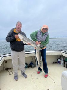 Striped bass caught fishing in NH