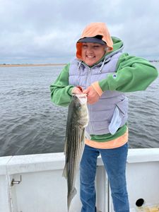 Striped bass catch in New Hampshire