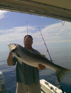 Striped bass caught in Hampton