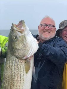 Striped bass caught while fishing in Hampton