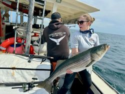 Striped bass caught by angler in Hampton