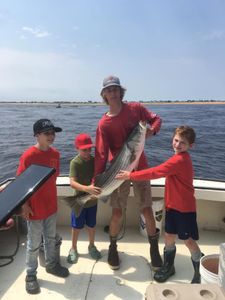 Striped bass caught in NH while fishing