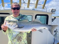 Striped bass caught in New Hampshire