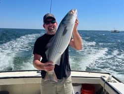 Striped bass fishing in NH