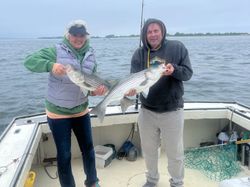 Two striped bass caught in Hampton