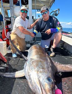 A huge wahoo fish caught in NH
