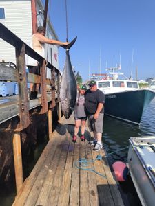 Yellowfin Tuna, 65-inch fish caught in NH