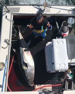 A yellowfin tuna, a large fish caught by a single fisherman in Hampton