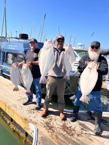 Hooked on adventure in San Francisco Bay!