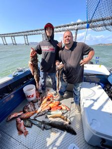 When the ocean calls, you answer with a rod&reels