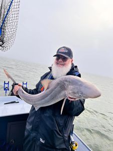 Awesome catch!